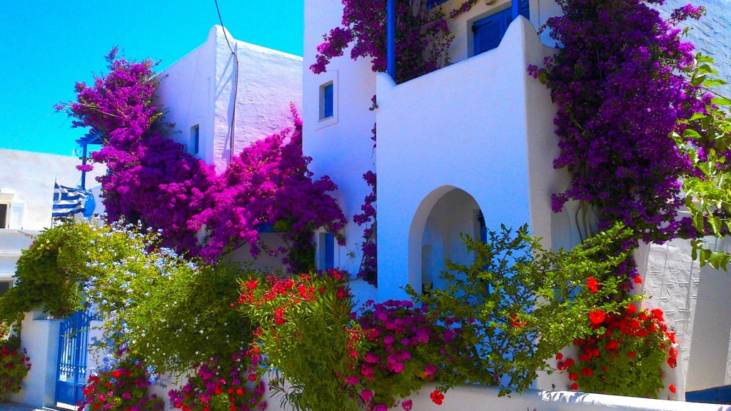houses-greece-flowers