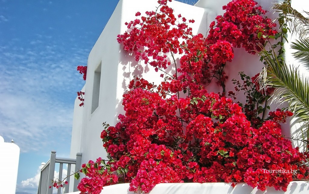 mykonos-greece