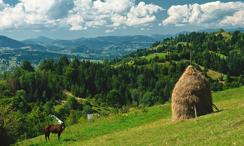 Maramures