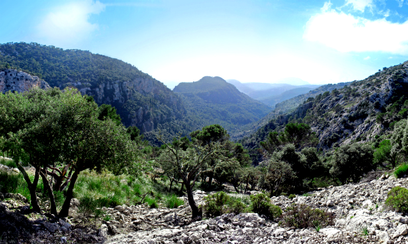 mallorca serra de tramuntana