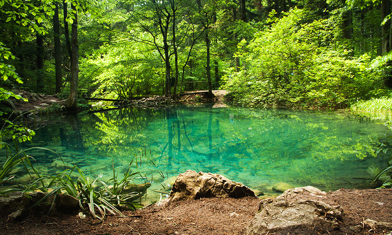 Lacul Ochiul Beiului