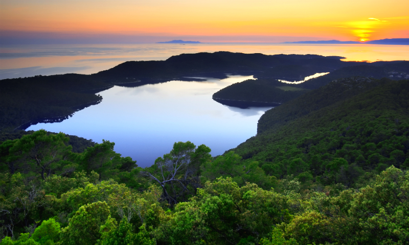 Mljet