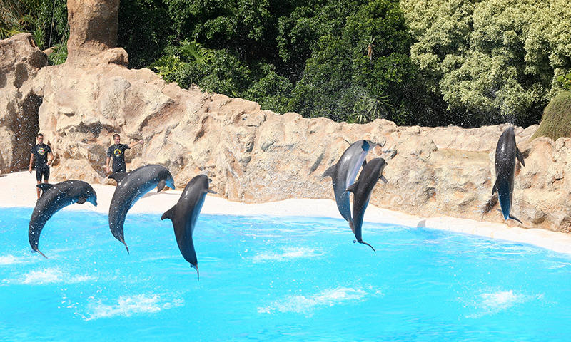 Loro Parque