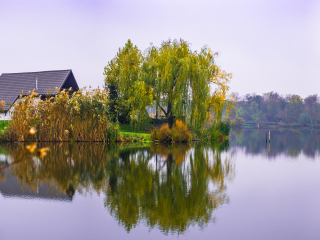  Excursie Biserica Draganescu - Parcul si Manastirea Comana | 1 zi - autocar | 2026 