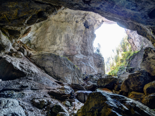  Excursie Castelul Vrajitoarelor – Satul Rasturnat – Padurea Colorata – Pestera Muierilor | 1 zi - autocar | 2026 