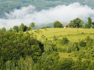  Excursie Campina - Brebu - Salina Slanic Prahova | 1 zi - autocar | 2025 