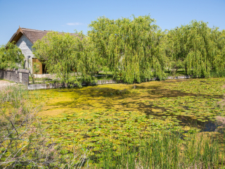  Pelerinaj la Capul Sfantului Mare Mucenic Gheorghe | 1 zi - autocar | 2026 