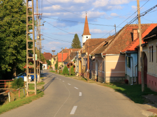  Excursie Muzeul Civilizatiei Populare Astra - Muzeul de Icoane pe sticla | 1 zi - autocar | 2025 