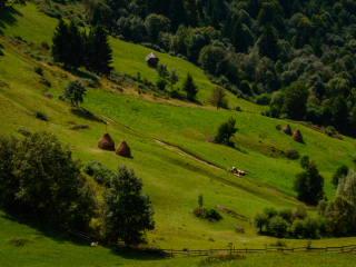  Excursie Valea Zimbrilor - Prejmer - Brasov | 1 zi - autocar | 2025 