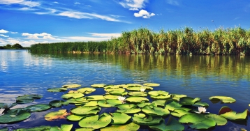 Excursie Delta Dunarii | 1 zi autocar | 2021 Excursie Delta Dunarii | 1 zi autocar | 2021