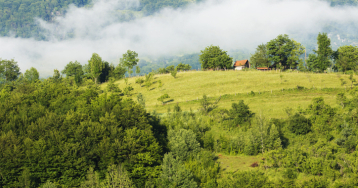 Excursie Campina - Brebu - Salina Slanic Prahova | 1 zi - autocar | 2025