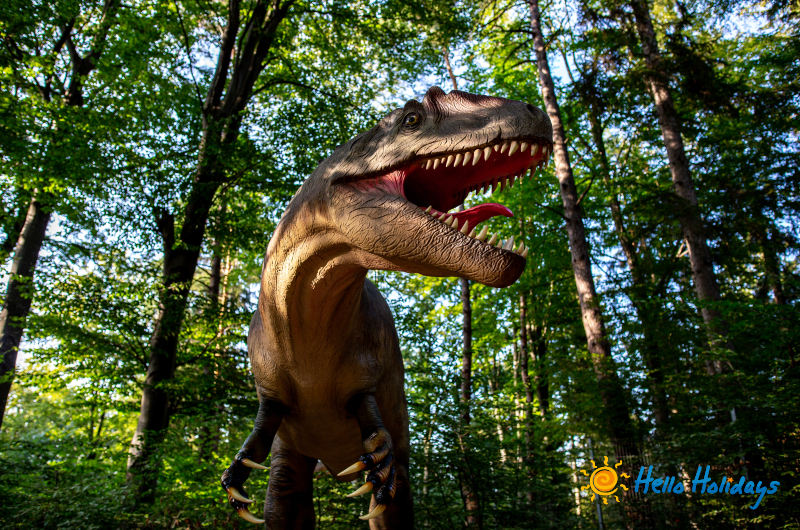 Excursie 1 Iunie la Dino Parc si Pestera Valea Cetatii | 1 zi - autocar | 2026