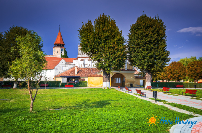 Excursie Valea Zimbrilor - Prejmer - Brasov | 1 zi - autocar | 2026