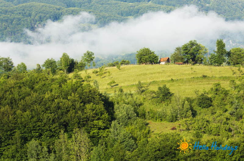 Excursie Campina - Brebu - Salina Slanic Prahova | 1 zi - autocar | 2025