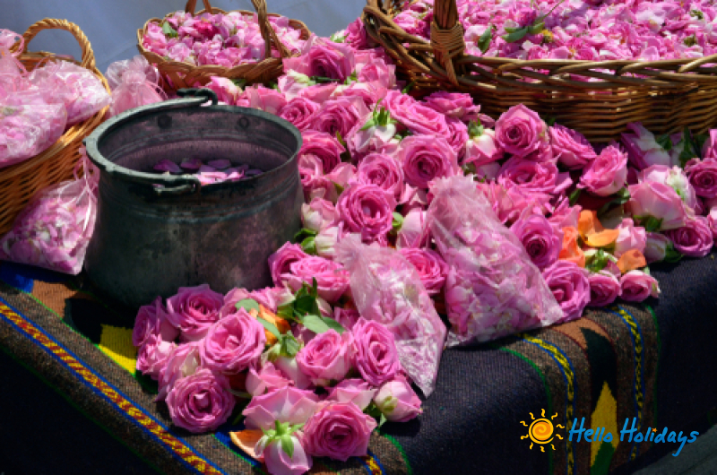 Excursie Kazanlak - Festivalul Rozelor | 1 zi - autocar | 2026