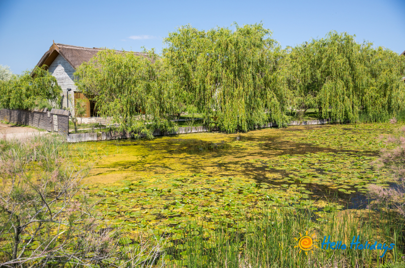 Pelerinaj la Capul Sfantului Mare Mucenic Gheorghe | 1 zi - autocar | 2026