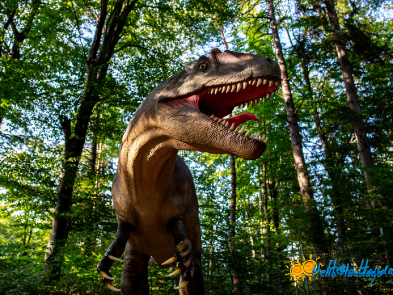 Excursie 1 Iunie la Dino Parc si Pestera Valea Cetatii | 1 zi - autocar | 2026