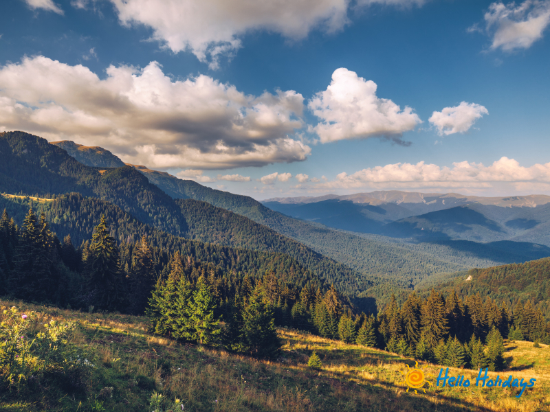 Excursie Castelul Vrajitoarelor – Satul Rasturnat – Padurea Colorata – Pestera Muierilor | 1 zi - autocar | 2026