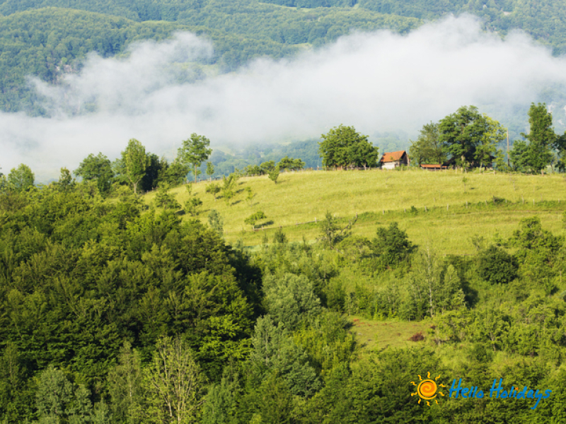 Excursie Campina - Brebu - Salina Slanic Prahova | 1 zi - autocar | 2025