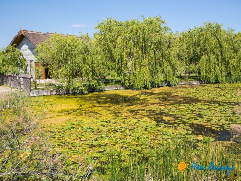 Pelerinaj la Capul Sfantului Mare Mucenic Gheorghe | 1 zi - autocar | 2026