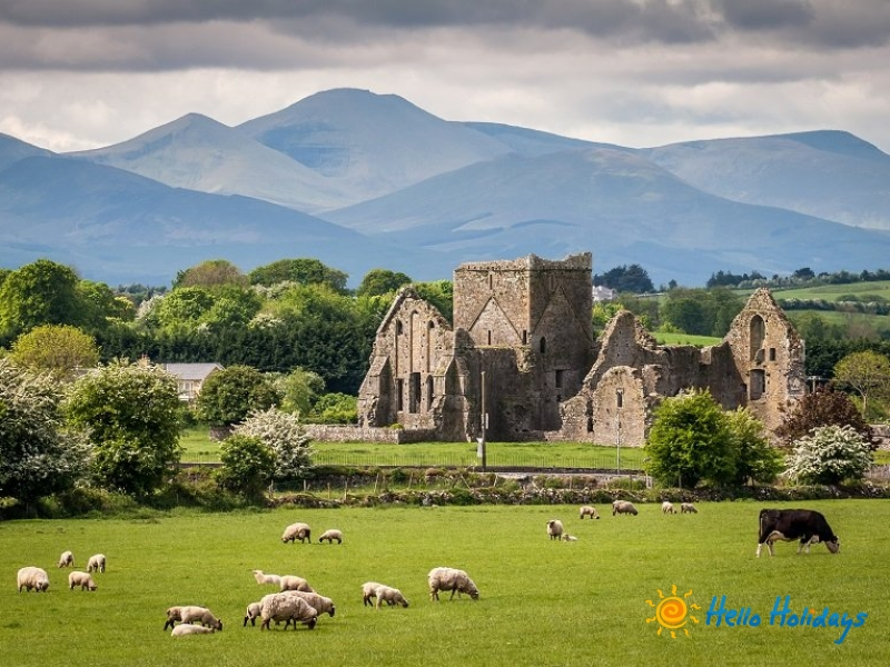 irlanda datând online
