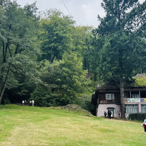 Elena Gratiela Iordănescu