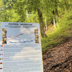 Elena Gratiela Iordănescu