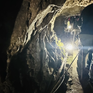 Elena Gratiela Iordănescu