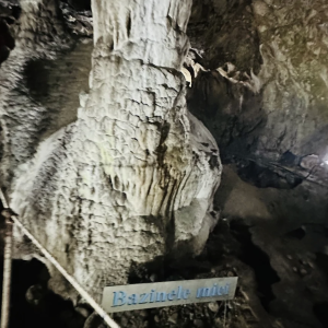 Elena Gratiela Iordănescu