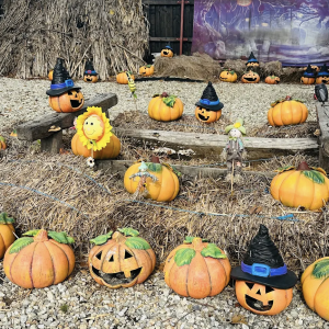 Elena Gratiela Iordănescu