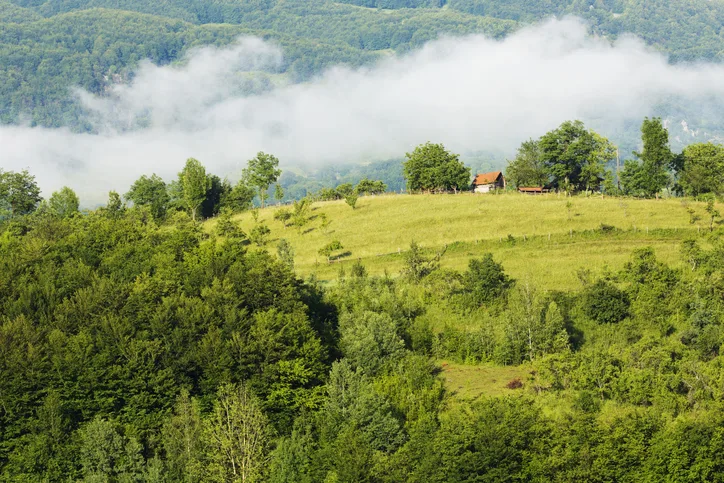 Excursie Manastirea Sinca Veche - Cetatea Fagarasului - Sambata de Sus | 1 zi - autocar | 2026