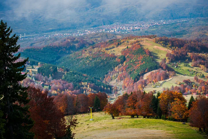 Excursie Valea Zimbrilor - Prejmer - Brasov | 1 zi - autocar | 2026