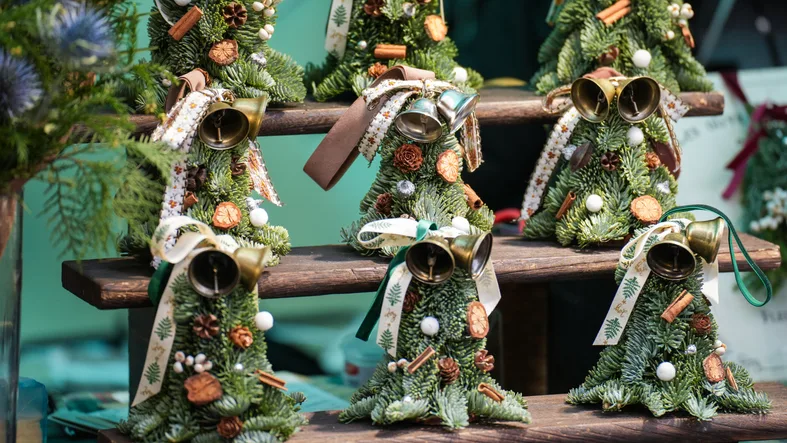 Excursie Spiridusii lui Mos Craciun | 1 zi - autocar | 2026
