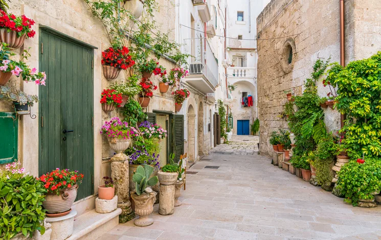 Senior Holidays Puglia | 8 zile - Avion | Plecare Timisoara 2027