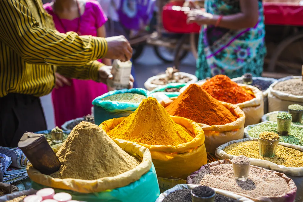 Circuit India - Triunghiul de Aur & Festivalul Holi | 11 zile - avion | 2027