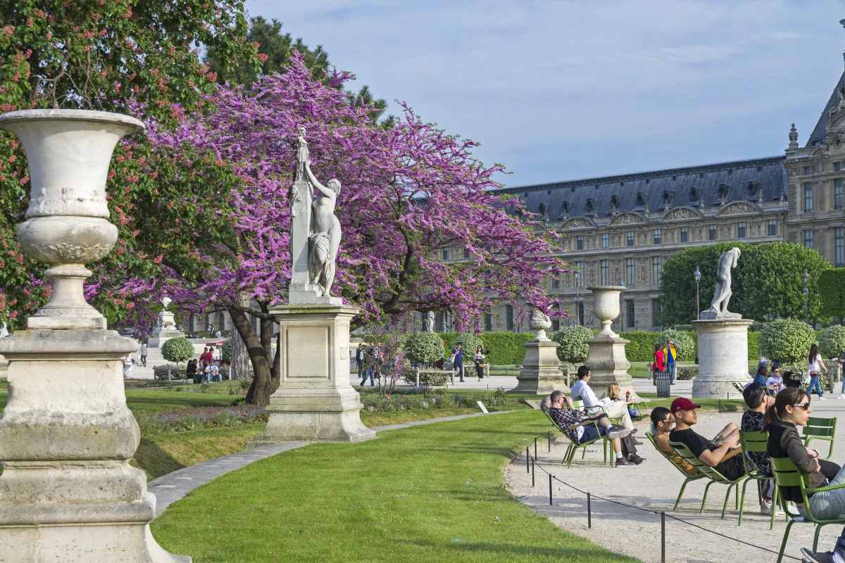 Circuit Paris – 8 Martie | 4 zile - avion | 2026