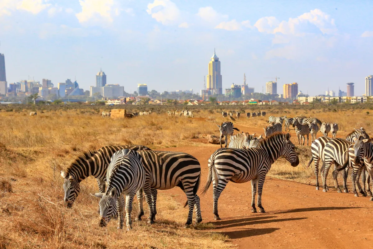 Circuit Kenya | 9 zile - avion | 2027 – Aventura in Inima Africii
