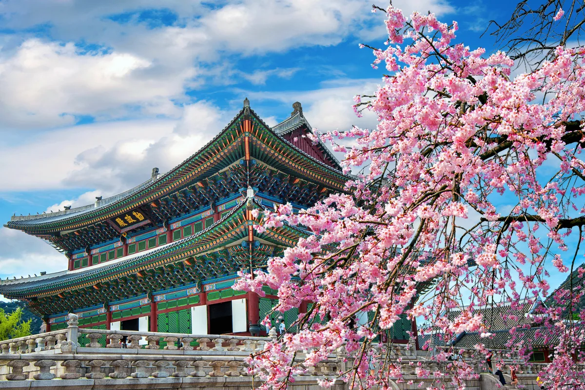 Circuit Coreea de Sud - Japonia: Sarbatoarea florilor de cires | 14 zile - Avion | 2027