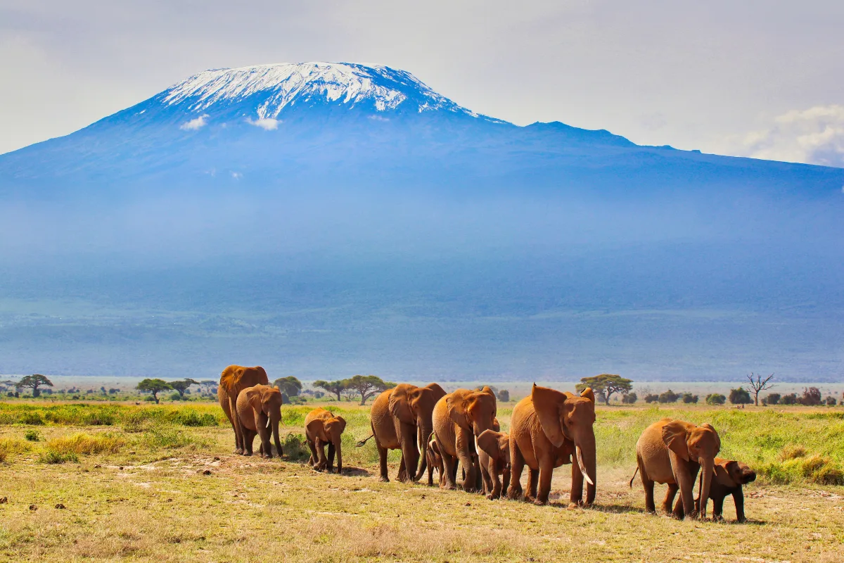 Circuit Kenya | 9 zile - avion | 2027 – Aventura in Inima Africii