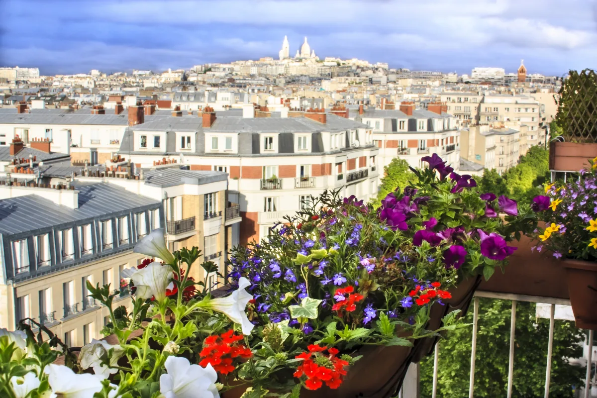 Paste Paris - La Vie en Rose | 5 zile - Avion | 2027
