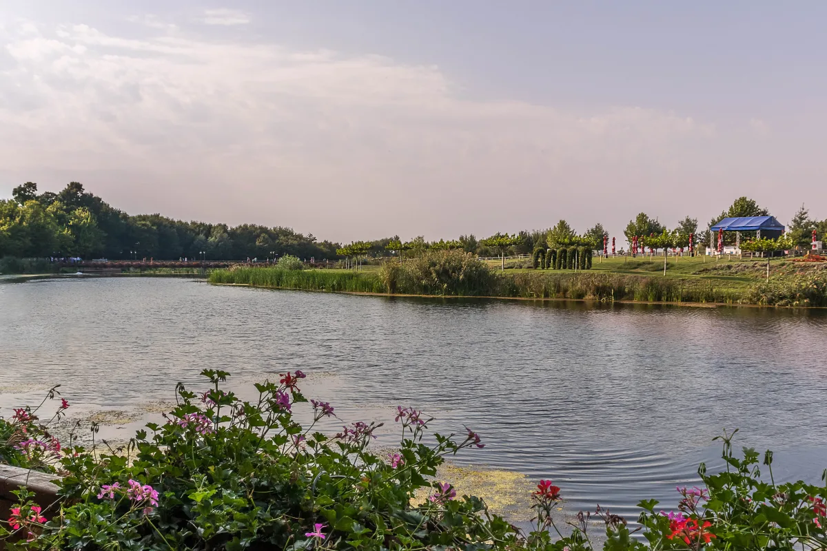 Excursie Biserica Draganescu - Parcul si Manastirea Comana | 1 zi - autocar | 2026