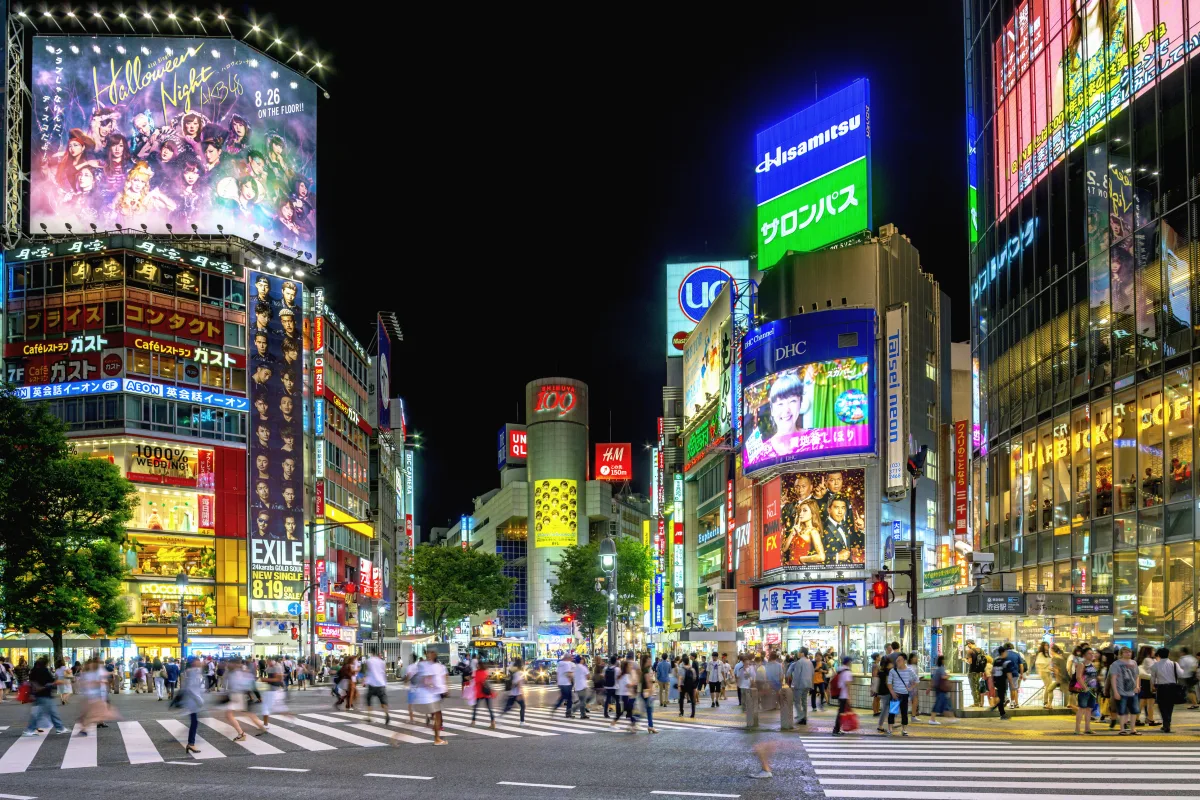 Circuit Coreea de Sud - Japonia: Sarbatoarea florilor de cires | 14 zile - Avion | 2027