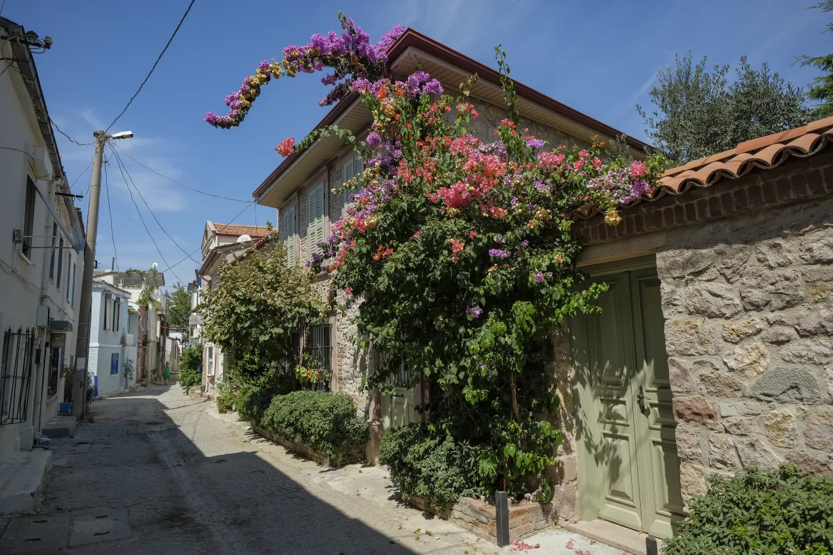 Circuit si Sejur Ayvalik & Lesbos - Turcia & Grecia | 6 zile - Autocar | 2026