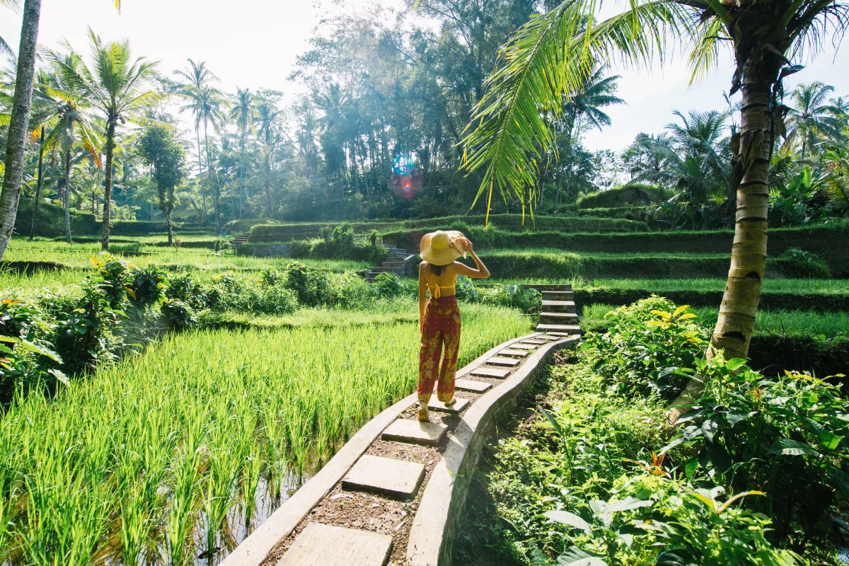 Circuit Indonezia | 14 zile - Avion | 2026-2027 - Java & Insula Bali