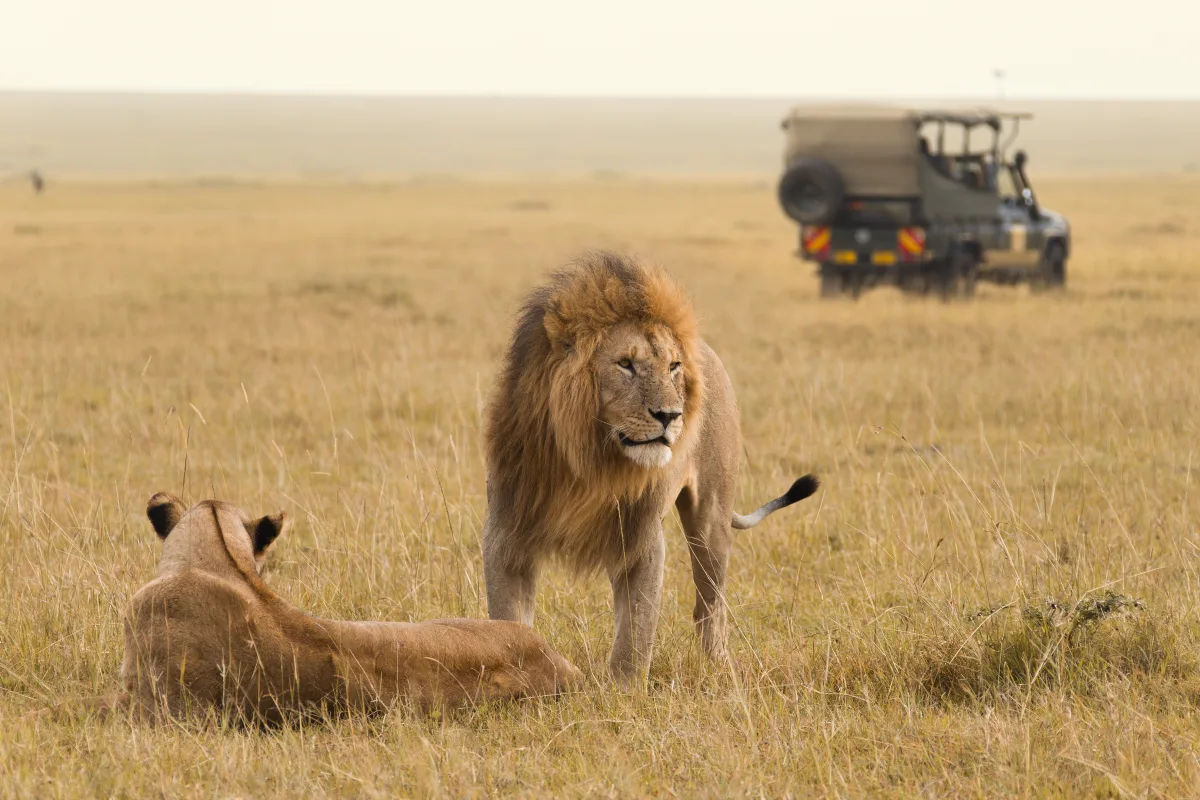 Circuit Kenya | 9 zile - avion | 2027 – Aventura in Inima Africii
