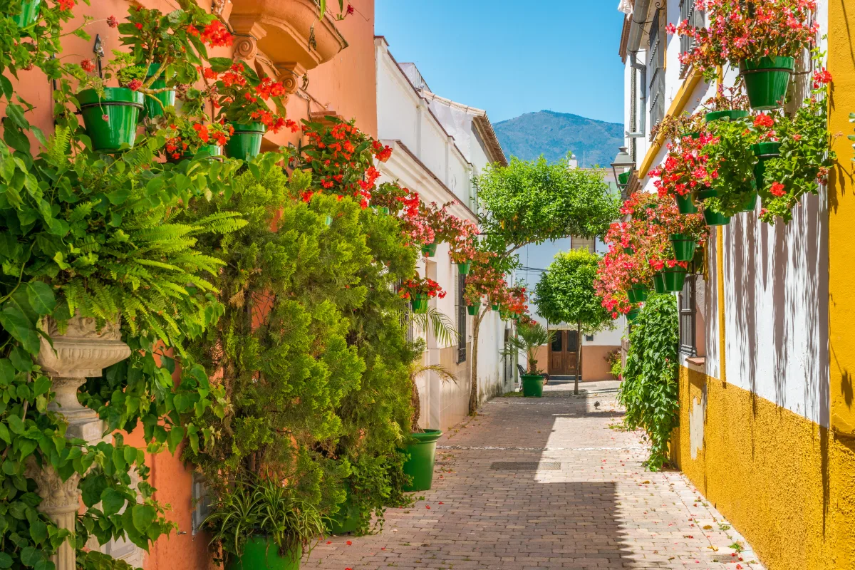 Senior Holidays Costa del Sol | 8 zile - Avion | 2026 - 2027