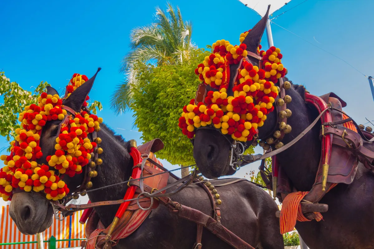 Carnaval Cadiz – Circuit in Andaluzia | 8 zile - Avion | 2027
