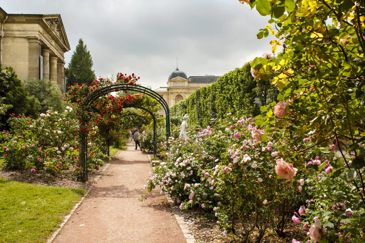 Paste Paris - La Vie en Rose | 5 zile - Avion | 2027