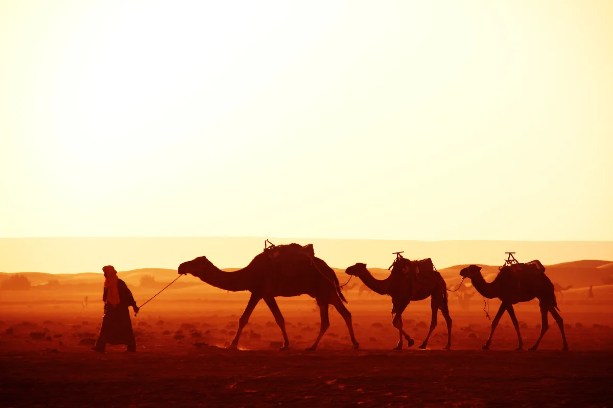 Revelion Maroc 2027 | 9 zile - Avion