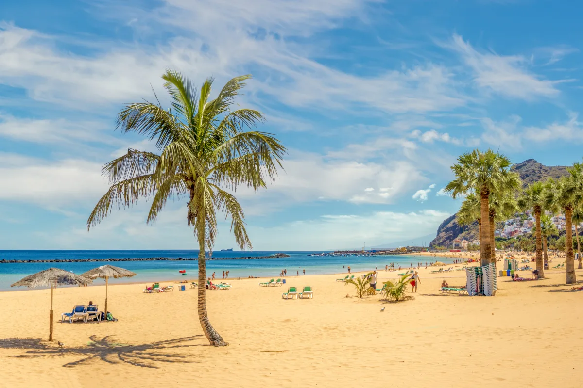 Circuit  Tenerife | 8 zile - Avion | 2026-2027 – Escapada tropicala